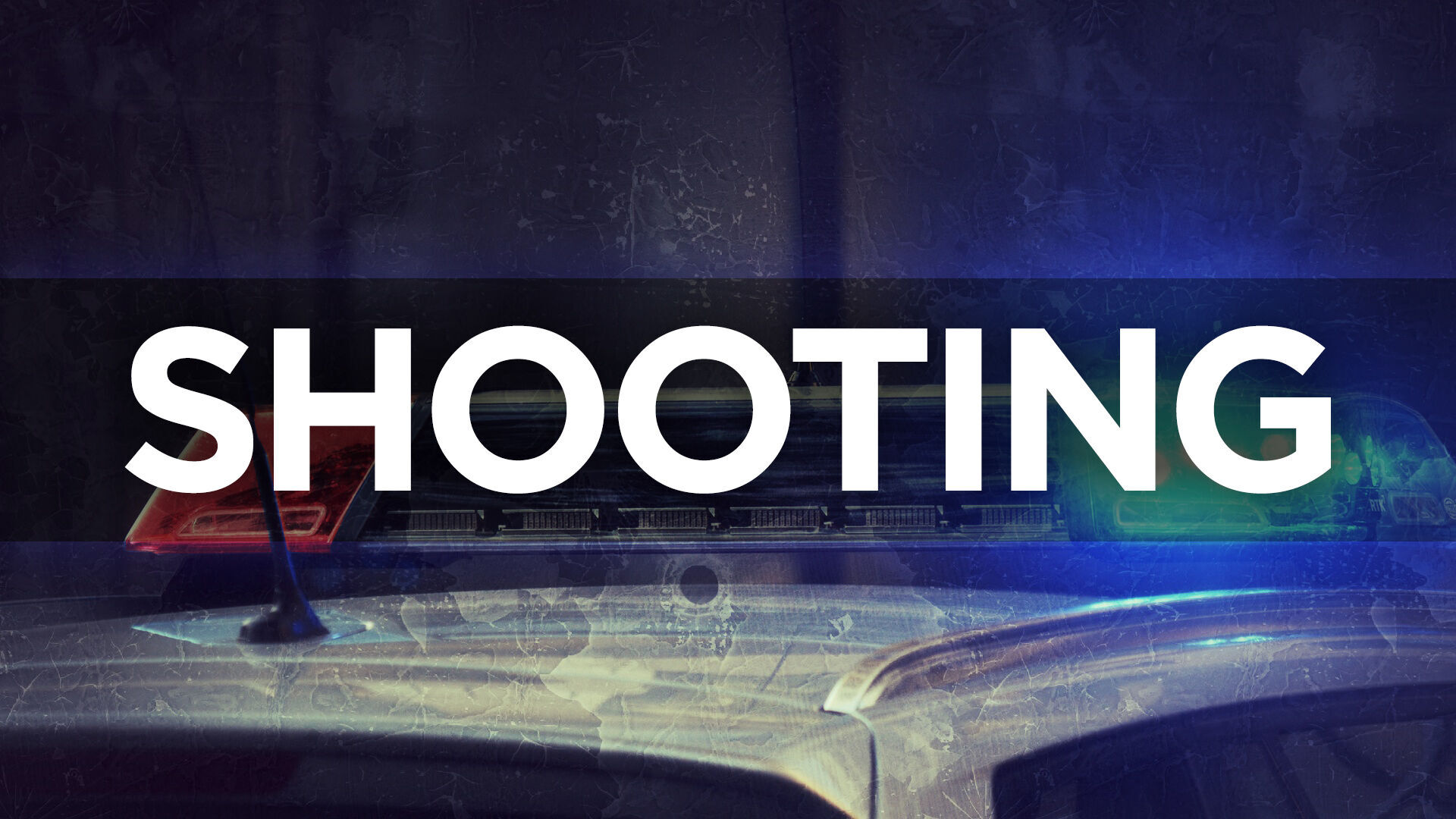 Two shot in apparent domestic dispute